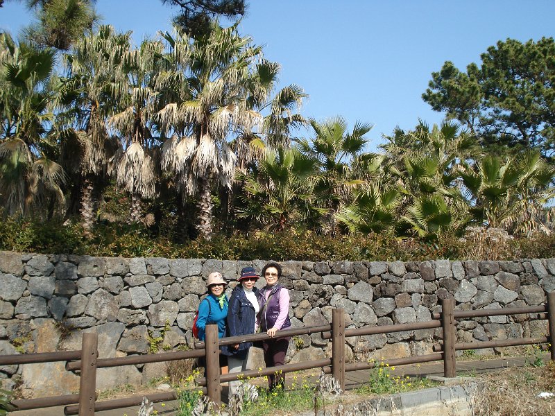 Jeju Tour 22.JPG